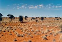 Kalahari_E02_00
